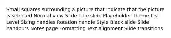 Small squares surrounding a picture that indicate that the picture is selected Normal view Slide Title slide Placeholder Theme List Level Sizing handles Rotation handle Style Black slide Slide handouts Notes page Formatting Text alignment Slide transitions