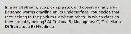 In a small stream, you pick up a rock and observe many small, flattened worms crawling on its undersurface. You decide that they belong to the phylum Platyhelminthes. To which class do they probably belong? A) Cestoda B) Monogenea C) Turbellaria D) Trematoda E) Hirudinea