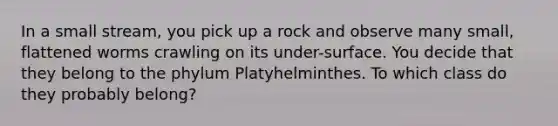 In a small stream, you pick up a rock and observe many small, flattened worms crawling on its under-surface. You decide that they belong to the phylum Platyhelminthes. To which class do they probably belong?