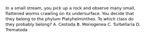 In a small stream, you pick up a rock and observe many small, flattened worms crawling on its undersurface. You decide that they belong to the phylum Platyhelminthes. To which class do they probably belong? A. Cestoda B. Monogenea C. Turbellaria D. Trematoda