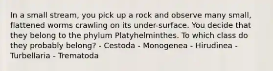 In a small stream, you pick up a rock and observe many small, flattened worms crawling on its under-surface. You decide that they belong to the phylum Platyhelminthes. To which class do they probably belong? - Cestoda - Monogenea - Hirudinea - Turbellaria - Trematoda