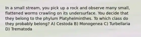 In a small stream, you pick up a rock and observe many small, flattened worms crawling on its undersurface. You decide that they belong to the phylum Platyhelminthes. To which class do they probably belong? A) Cestoda B) Monogenea C) Turbellaria D) Trematoda