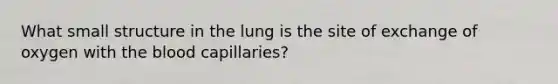 What small structure in the lung is the site of exchange of oxygen with <a href='https://www.questionai.com/knowledge/k7oXMfj7lk-the-blood' class='anchor-knowledge'>the blood</a> capillaries?