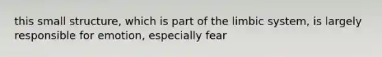 this small structure, which is part of the limbic system, is largely responsible for emotion, especially fear