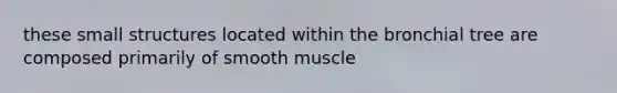 these small structures located within the bronchial tree are composed primarily of smooth muscle