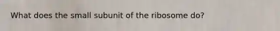 What does the small subunit of the ribosome do?