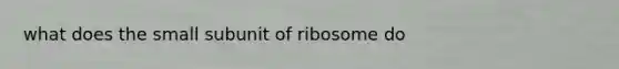 what does the small subunit of ribosome do