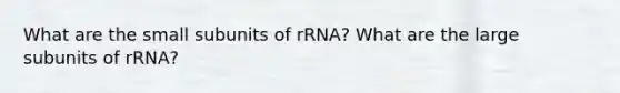 What are the small subunits of rRNA? What are the large subunits of rRNA?