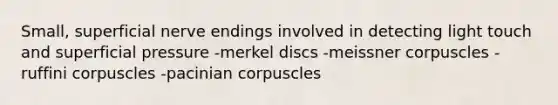 Small, superficial nerve endings involved in detecting light touch and superficial pressure -merkel discs -meissner corpuscles -ruffini corpuscles -pacinian corpuscles