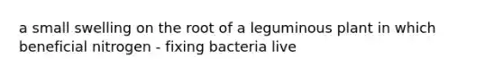 a small swelling on the root of a leguminous plant in which beneficial nitrogen - fixing bacteria live