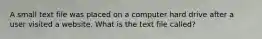 A small text file was placed on a computer hard drive after a user visited a website. What is the text file called?