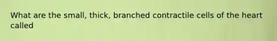 What are the small, thick, branched contractile cells of the heart called