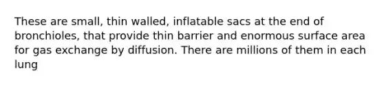 These are small, thin walled, inflatable sacs at the end of bronchioles, that provide thin barrier and enormous surface area for gas exchange by diffusion. There are millions of them in each lung