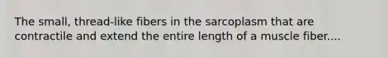 The small, thread-like fibers in the sarcoplasm that are contractile and extend the entire length of a muscle fiber....