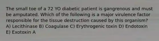 The small toe of a 72 YO diabetic patient is gangrenous and must be amputated. Which of the following is a major virulence factor responsible for the tissue destruction caused by this organism? A) Lecithinase B) Coagulase C) Erythrogenic toxin D) Endotoxin E) Exotoxin A