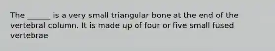 The ______ is a very small triangular bone at the end of the vertebral column. It is made up of four or five small fused vertebrae