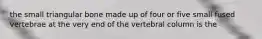 the small triangular bone made up of four or five small fused vertebrae at the very end of the vertebral column is the