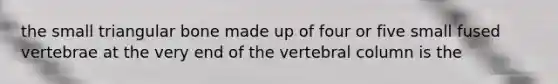 the small triangular bone made up of four or five small fused vertebrae at the very end of the vertebral column is the