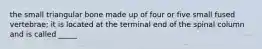 the small triangular bone made up of four or five small fused vertebrae; it is located at the terminal end of the spinal column and is called _____