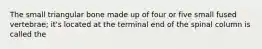 The small triangular bone made up of four or five small fused vertebrae; it's located at the terminal end of the spinal column is called the