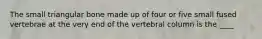 The small triangular bone made up of four or five small fused vertebrae at the very end of the vertebral column is the ____