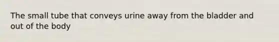 The small tube that conveys urine away from the bladder and out of the body