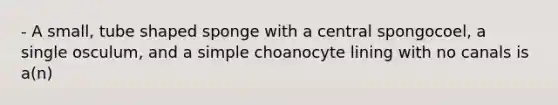 - A small, tube shaped sponge with a central spongocoel, a single osculum, and a simple choanocyte lining with no canals is a(n)