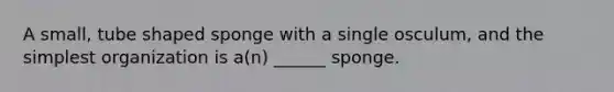 A small, tube shaped sponge with a single osculum, and the simplest organization is a(n) ______ sponge.