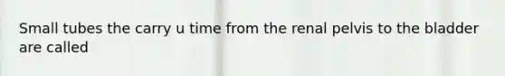 Small tubes the carry u time from the renal pelvis to the bladder are called