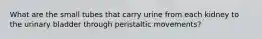 What are the small tubes that carry urine from each kidney to the urinary bladder through peristaltic movements?