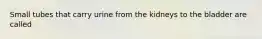 Small tubes that carry urine from the kidneys to the bladder are called