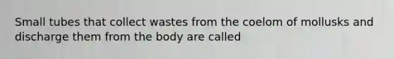 Small tubes that collect wastes from the coelom of mollusks and discharge them from the body are called