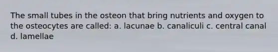 The small tubes in the osteon that bring nutrients and oxygen to the osteocytes are called: a. lacunae b. canaliculi c. central canal d. lamellae