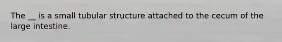 The __ is a small tubular structure attached to the cecum of the large intestine.