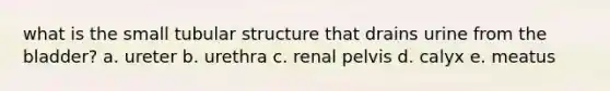 what is the small tubular structure that drains urine from the bladder? a. ureter b. urethra c. renal pelvis d. calyx e. meatus