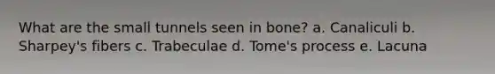 What are the small tunnels seen in bone? a. Canaliculi b. Sharpey's fibers c. Trabeculae d. Tome's process e. Lacuna