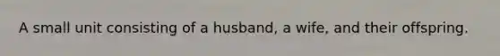 A small unit consisting of a husband, a wife, and their offspring.