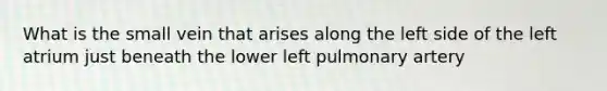 What is the small vein that arises along the left side of the left atrium just beneath the lower left pulmonary artery