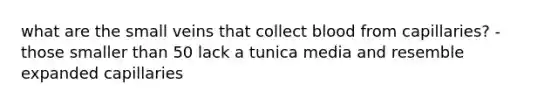 what are the small veins that collect blood from capillaries? -those smaller than 50 lack a tunica media and resemble expanded capillaries