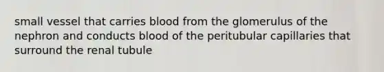 small vessel that carries blood from the glomerulus of the nephron and conducts blood of the peritubular capillaries that surround the renal tubule