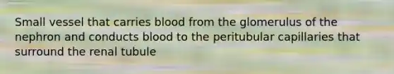 Small vessel that carries blood from the glomerulus of the nephron and conducts blood to the peritubular capillaries that surround the renal tubule