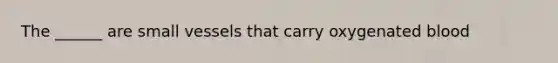 The ______ are small vessels that carry oxygenated blood