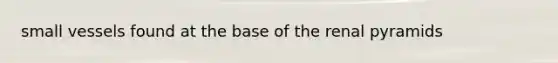 small vessels found at the base of the renal pyramids