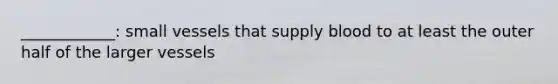 ____________: small vessels that supply blood to at least the outer half of the larger vessels