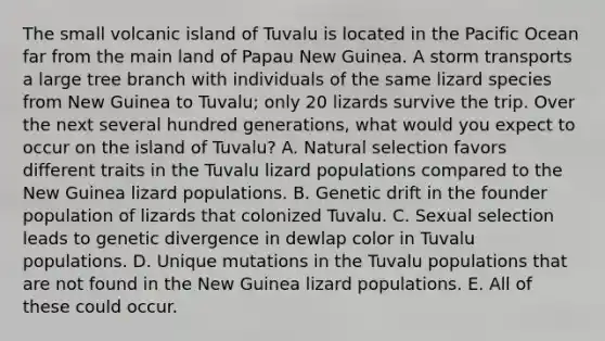 The small volcanic island of Tuvalu is located in the Pacific Ocean far from the main land of Papau New Guinea. A storm transports a large tree branch with individuals of the same lizard species from New Guinea to Tuvalu; only 20 lizards survive the trip. Over the next several hundred generations, what would you expect to occur on the island of Tuvalu? A. Natural selection favors different traits in the Tuvalu lizard populations compared to the New Guinea lizard populations. B. Genetic drift in the founder population of lizards that colonized Tuvalu. C. Sexual selection leads to genetic divergence in dewlap color in Tuvalu populations. D. Unique mutations in the Tuvalu populations that are not found in the New Guinea lizard populations. E. All of these could occur.