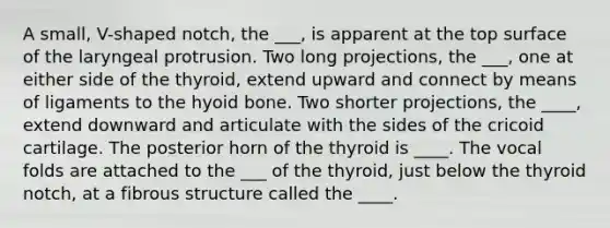 A small, V-shaped notch, the ___, is apparent at the top surface of the laryngeal protrusion. Two long projections, the ___, one at either side of the thyroid, extend upward and connect by means of ligaments to the hyoid bone. Two shorter projections, the ____, extend downward and articulate with the sides of the cricoid cartilage. The posterior horn of the thyroid is ____. The vocal folds are attached to the ___ of the thyroid, just below the thyroid notch, at a fibrous structure called the ____.