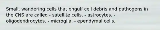 Small, wandering cells that engulf cell debris and pathogens in the CNS are called - satellite cells. - astrocytes. - oligodendrocytes. - microglia. - ependymal cells.