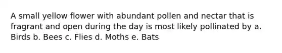 A small yellow flower with abundant pollen and nectar that is fragrant and open during the day is most likely pollinated by a. Birds b. Bees c. Flies d. Moths e. Bats