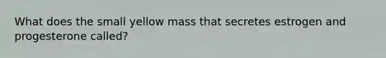 What does the small yellow mass that secretes estrogen and progesterone called?