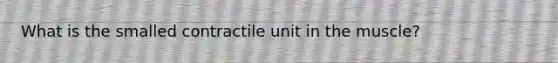 What is the smalled contractile unit in the muscle?